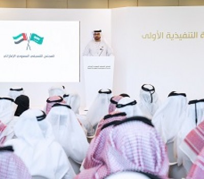 المجلس التنسيقي السعودي الإماراتي